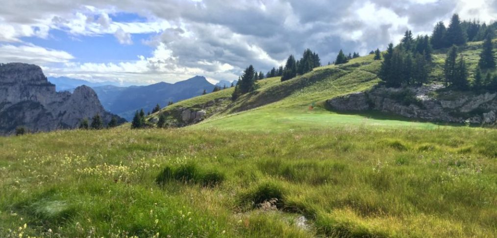 stage golf flaine haute savoie prof carte verte cours