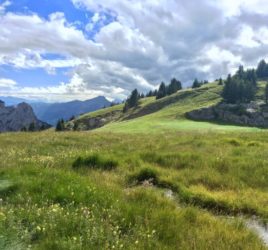 stage golf flaine haute savoie prof carte verte cours