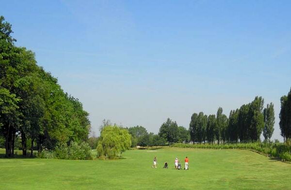 girasoli-golf-buche-1
