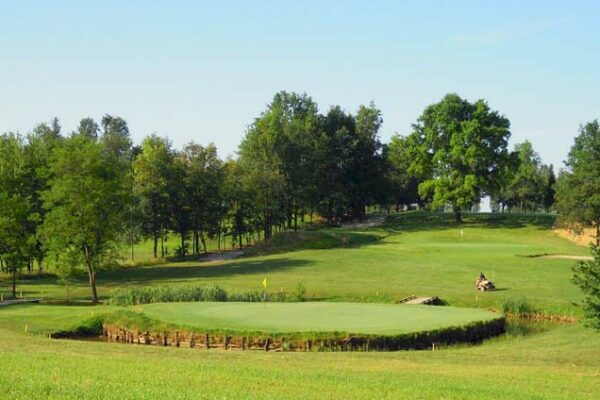 girasoli-golf-buche-16