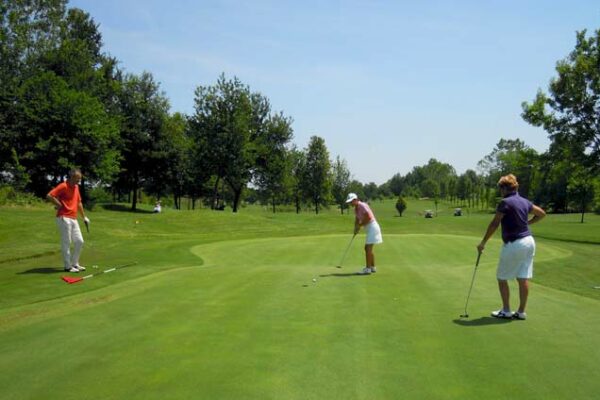 girasoli-golf-buche-33