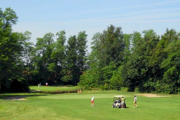 girasoli-golf-buche-42